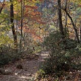 Dark Hollow Falls Trail Virginia - EyJidWNrZXQiOiJhc3NldHMuYWxsdHJhaWxzLmNvbSIsImtleSI6InVwbG9hZHMvcGhvdG8vaW1hZ2UvNjczNTYzMjQvZWE3MzFiZjUxMmYwZTY2NDg2MTI3MDUxMjVmYmFjYjkuanBnIiwiZWRpdHMiOnsidG9Gb3JtYXQiOiJqcGVnIiwicmVzaXplIjp7IndpZHRoIjoxNjAsImhlaWdodCI6MTYwLCJmaXQiOiJjb3ZlciJ9LCJyb3RhdGUiOm51bGwsImpwZWciOnsidHJlbGxpc1F1YW50aXNhdGlvbiI6dHJ1ZSwib3ZlcnNob290RGVyaW5naW5nIjp0cnVlLCJvcHRpbWlzZVNjYW5zIjp0cnVlLCJxdWFudGlzYXRpb25UYWJsZSI6M319fQ==