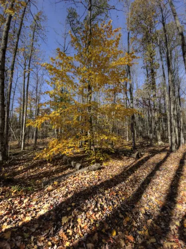 Best Hikes and Trails in Alexander Hope Smith Nature Reserve