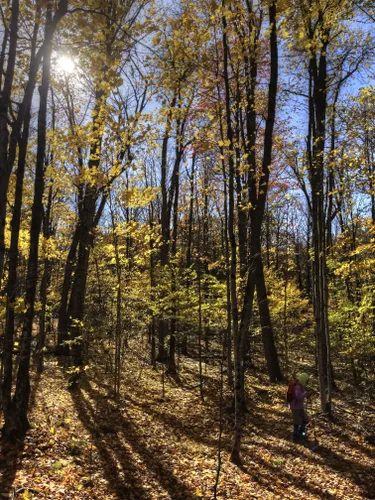 Best Hikes and Trails in Alexander Hope Smith Nature Reserve