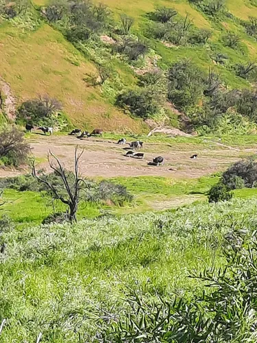 PARQUE METROPOLITANO CERRO CHENA visual data 3