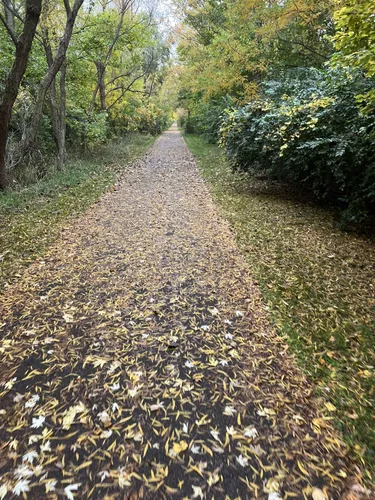 Urban Escape: 5 Stunning Hiking Trails in Bloomington – Illinois