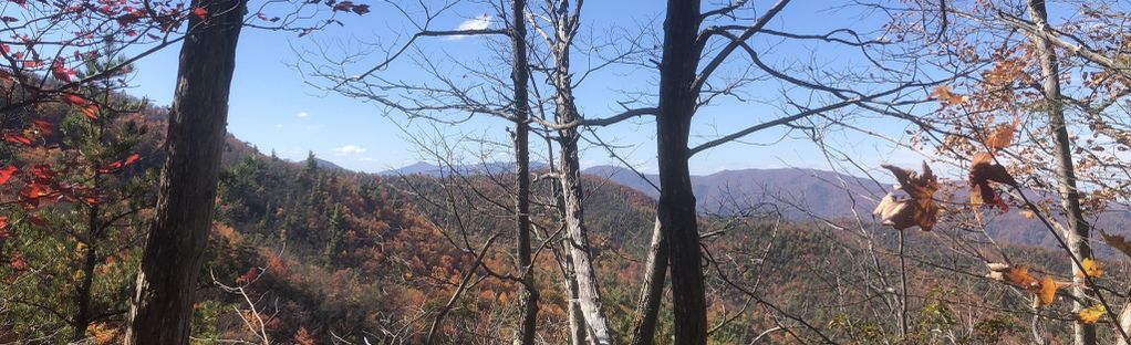 Appalachian Trail: Indian Grave Gap to Chestoa, Tennessee - 32