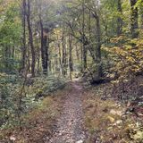 Soapstone Trail, Maryland - 1,844 Reviews, Map | AllTrails