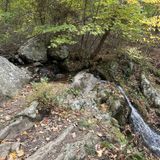 Lands Run Falls Trail, Virginia - 708 Reviews, Map | AllTrails