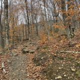 Camel's Hump Trail, Vermont - 2,203 Reviews, Map | AllTrails