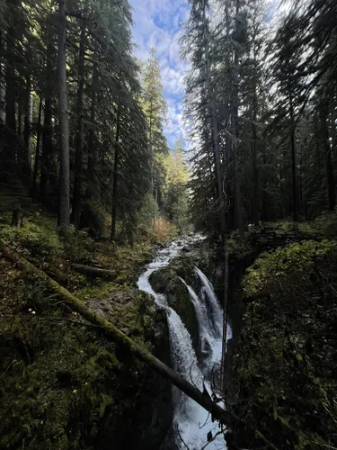 Backpack - Olympic Hot Springs — The Mountaineers