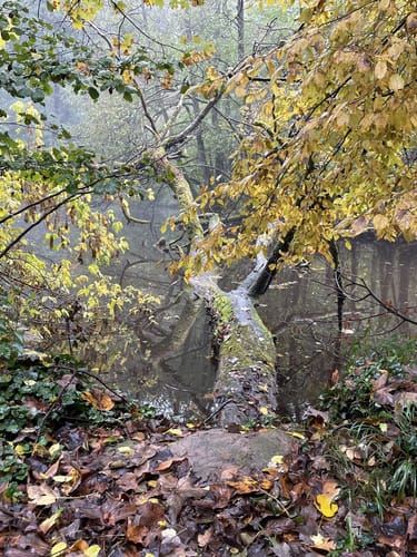 Kraichtal Wanderweg K1