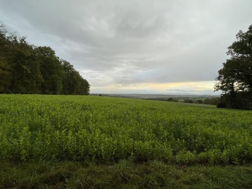 Kraichtal Wanderweg K1