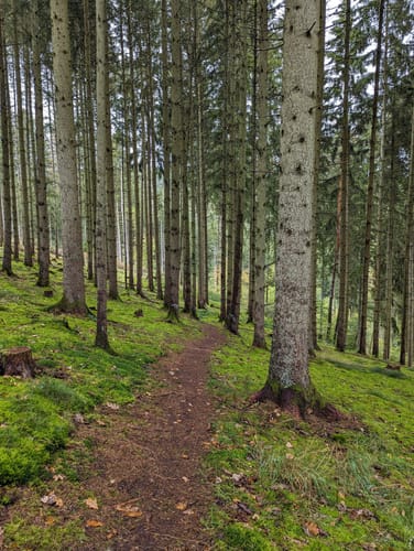Fünf-Täler-Tour (Traumschleife)