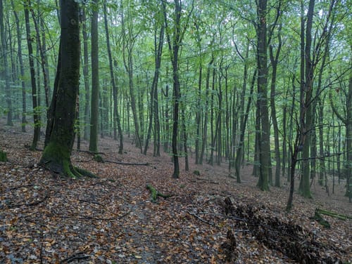 Fünf-Täler-Tour (Traumschleife)