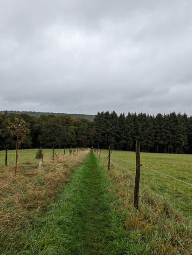 Fünf-Täler-Tour (Traumschleife)