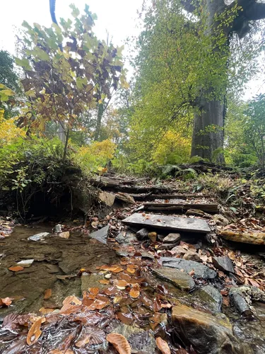 Best Hikes and Trails in Kenealy Nature Park | AllTrails