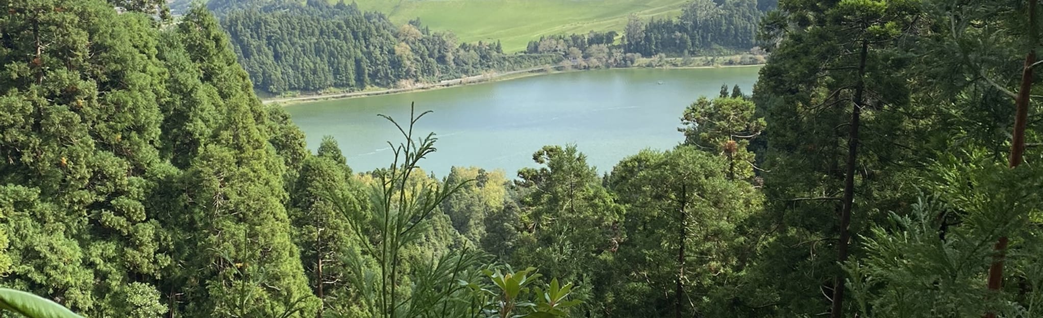 rota-do-parque-gren-azores-portugal-83-reviews-map-alltrails