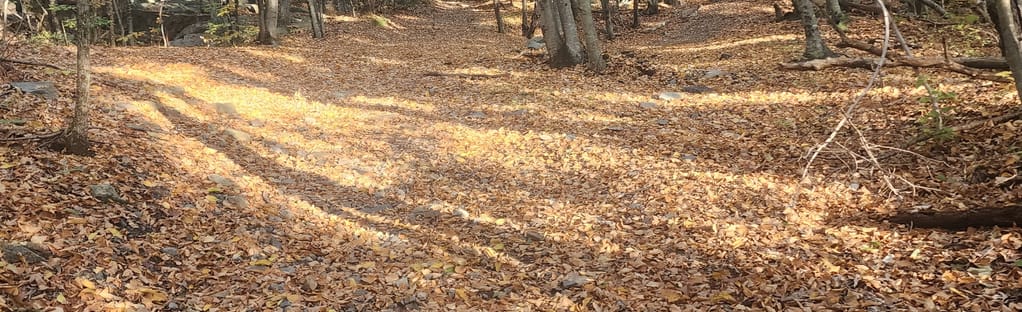 Diamond discount hill mtb