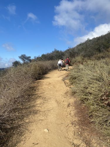 Stanley Peak via Sage Trail , California - 420 Reviews, Map