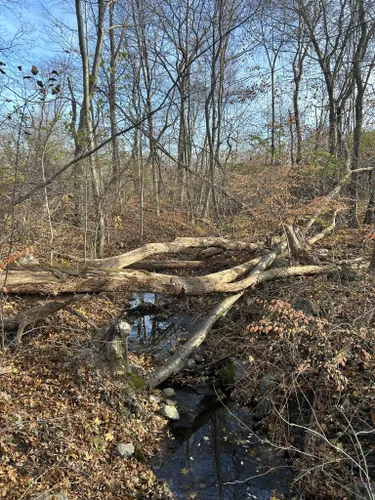 THE BEST 10 Hiking in Waltham, MA - Last Updated November 2023 - Yelp