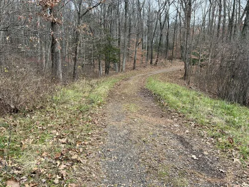 2023 Best Moderate Trails in West Hartford Reservoirs Recreation Area ...