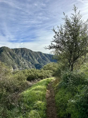 10 Best Trails and Hikes in Sierra Madre | AllTrails