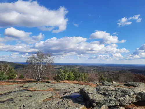 Best Hikes And Trails In Blue Job Mountain State Forest 