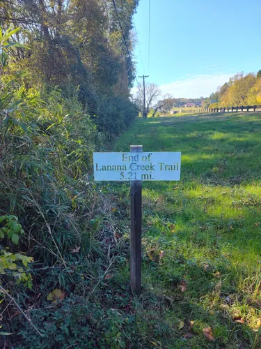 Forest Bliss: 5 Beautiful Hiking Trails in Nacogdoches – Texas