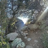 Domingo Baca Trail #230, New Mexico - 1,950 Reviews, Map | AllTrails