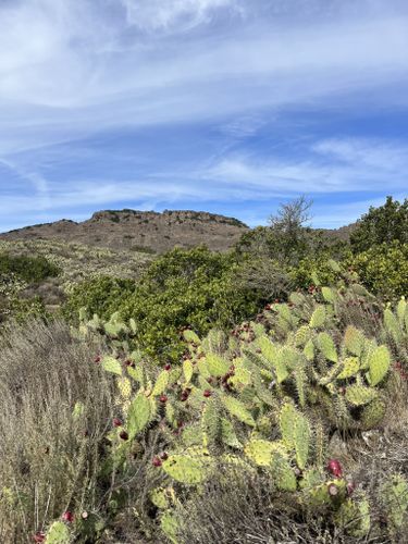 Paradise Falls via Mesa, Teepee and Moonridge Trail, California