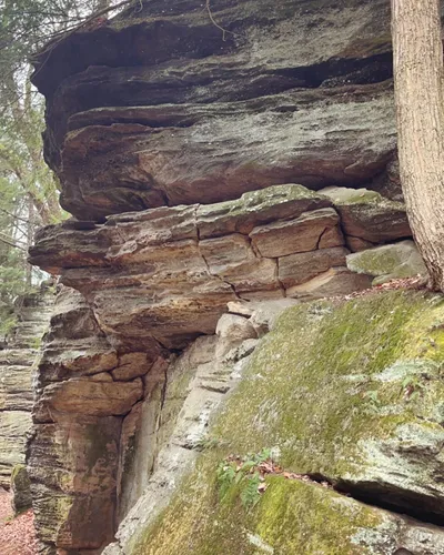 Best 10 Hiking Trails in Thompson Ledge Township Park | AllTrails