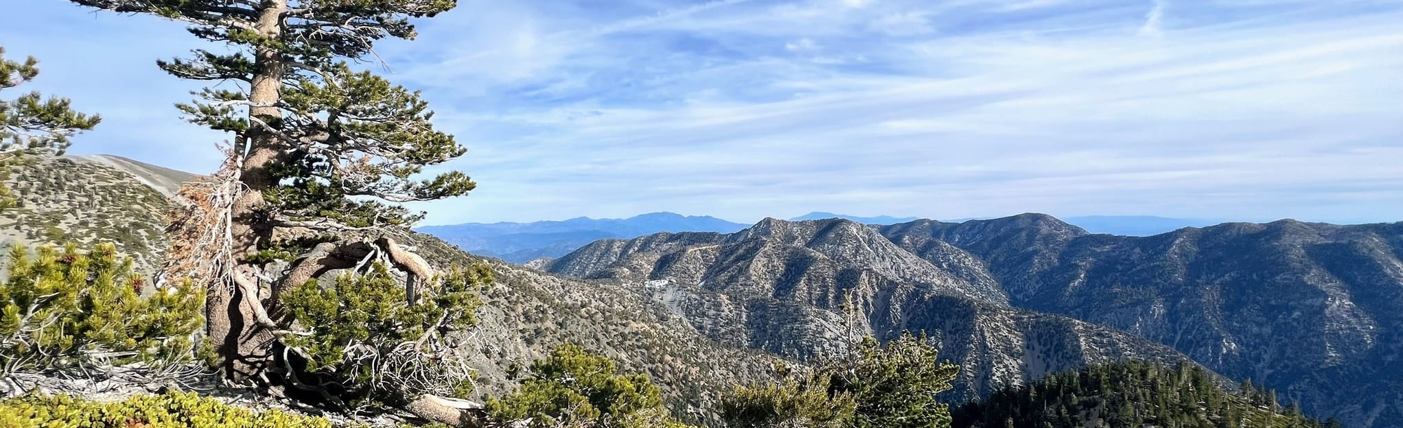 Mount San Antonio, California - 1,659 Reviews, Map | AllTrails