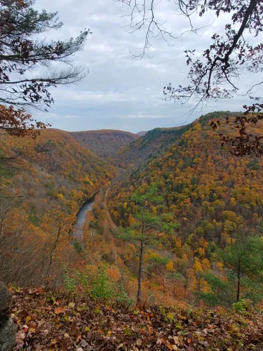 Best Hikes and Trails in Colton Point State Park AllTrails