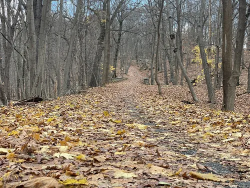 Sprain ridge mountain online bike trail