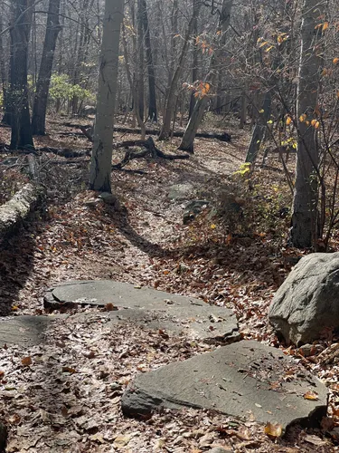 Best Hikes and Trails in Sprain Ridge Park | AllTrails