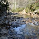 Saint Mary's Falls Trail, Virginia - 1,427 Reviews, Map | AllTrails