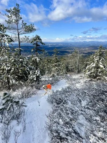 Best Hikes and Trails in Pike | AllTrails