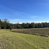 J. R. Alford Greenway Loop, Florida - 387 Reviews, Map | AllTrails