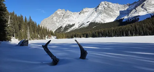 Best Trails near Banded Peak