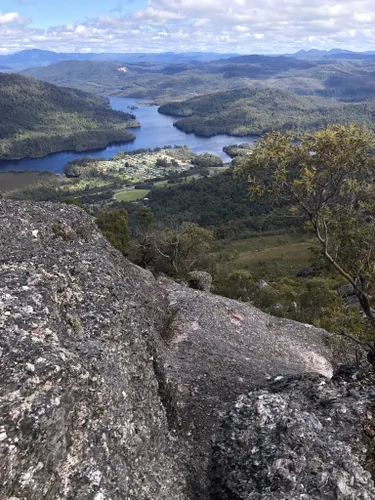 Best Hikes and Trails in Mount Farrell Regional Reserve | AllTrails