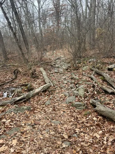 Best Hikes and Trails in Hagerstown | AllTrails