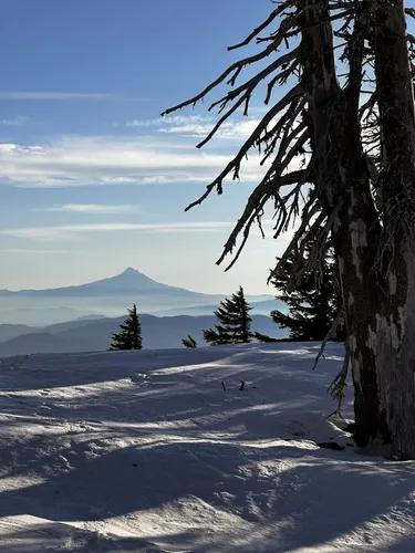 Best Hikes and Trails in Mount Adams Wilderness