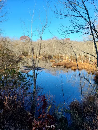 Best Hikes and Trails in Walden Preserve | AllTrails