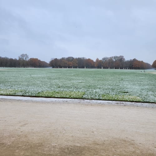Rund um die Karlsaue