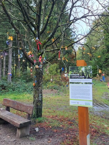 Runde im Hürtgenwald
