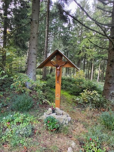 Runde im Hürtgenwald