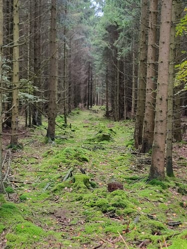 Ochsenkopfweg