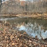 Rivanna River Trail, Virginia - 668 Reviews, Map | AllTrails