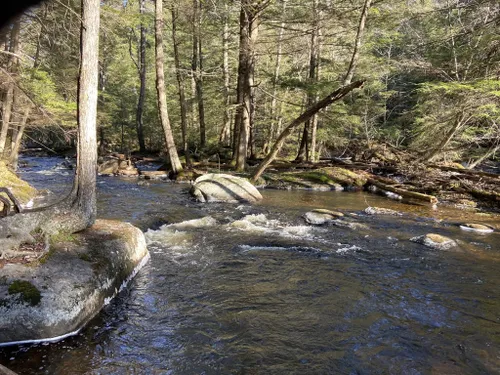 Otter Brook Lake: New Hampshire's Hidden Gem for Outdoor Adventures