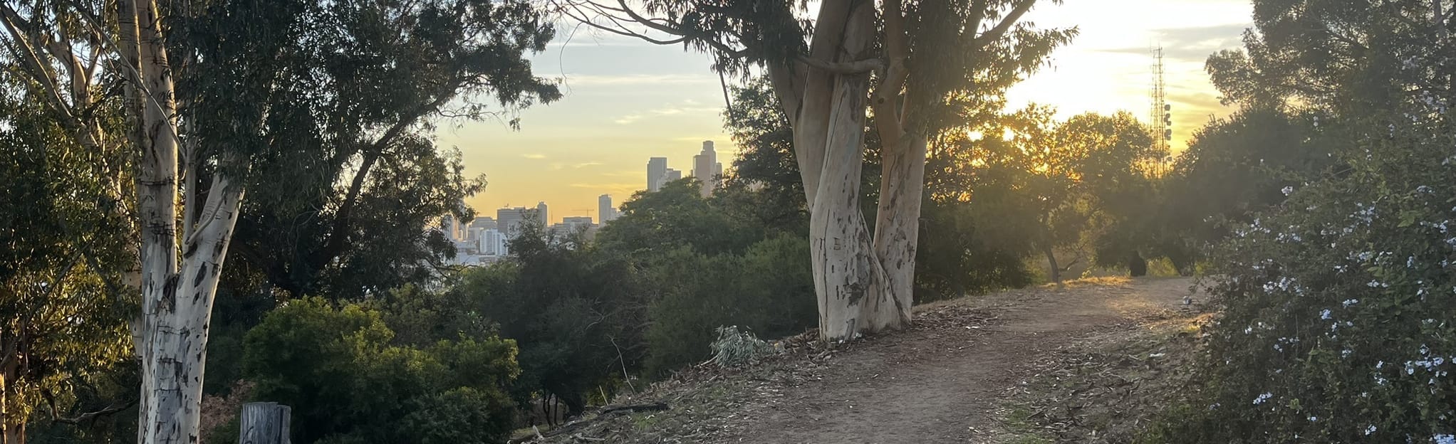 Portola Trail South, California 44 Reviews, Map AllTrails