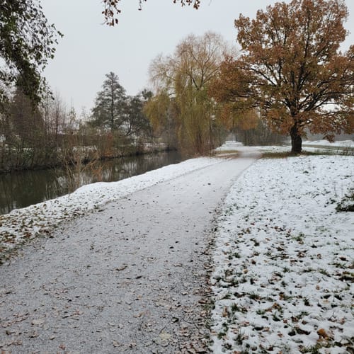 Hohnsensee