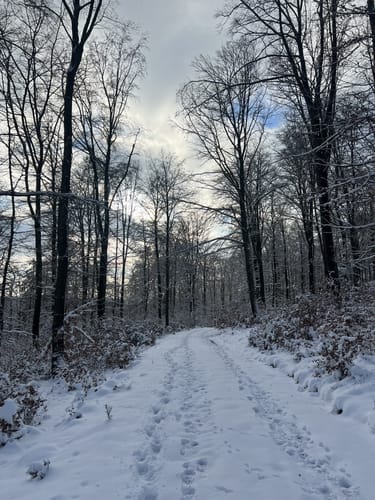 EifelSchleife Berk und Tal
