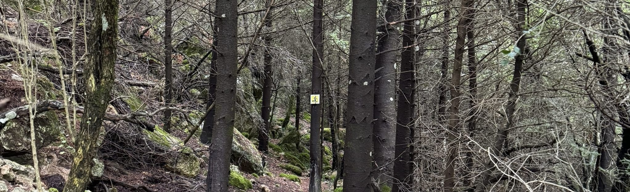 Vamvakou - Bucle de la capilla de Agia Kyriaki: 24 fotos - Peloponeso ...