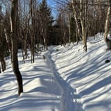 Mount Isolation Via Rocky Branch Trail, New Hampshire - 935 Reviews ...